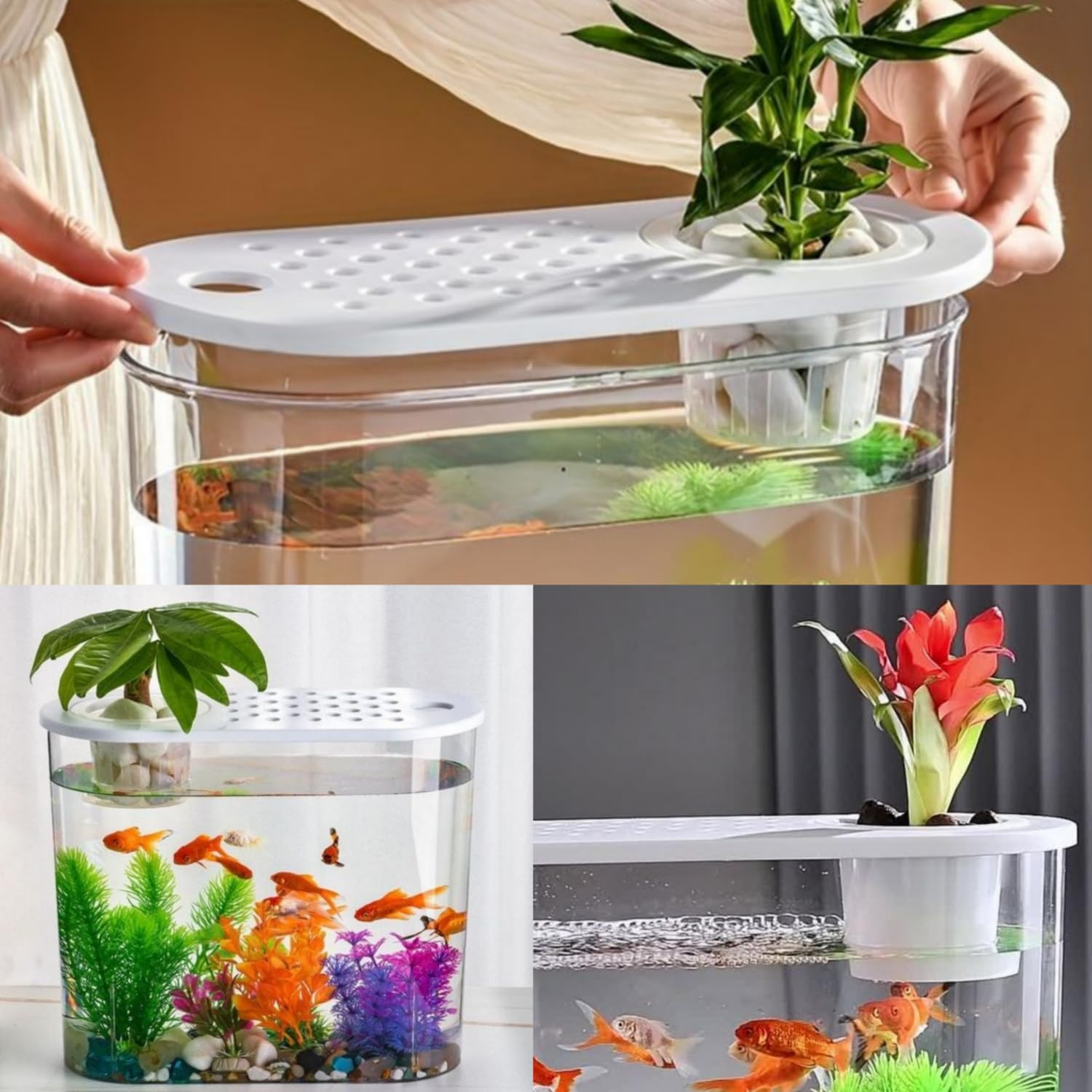 rizopets Hydroponic Fashion Aquarium Mini Fish Tank with Planting Basket for Guppies, Shrimp, Polycarbonate Material, Suitable for Home, Living Room and Office