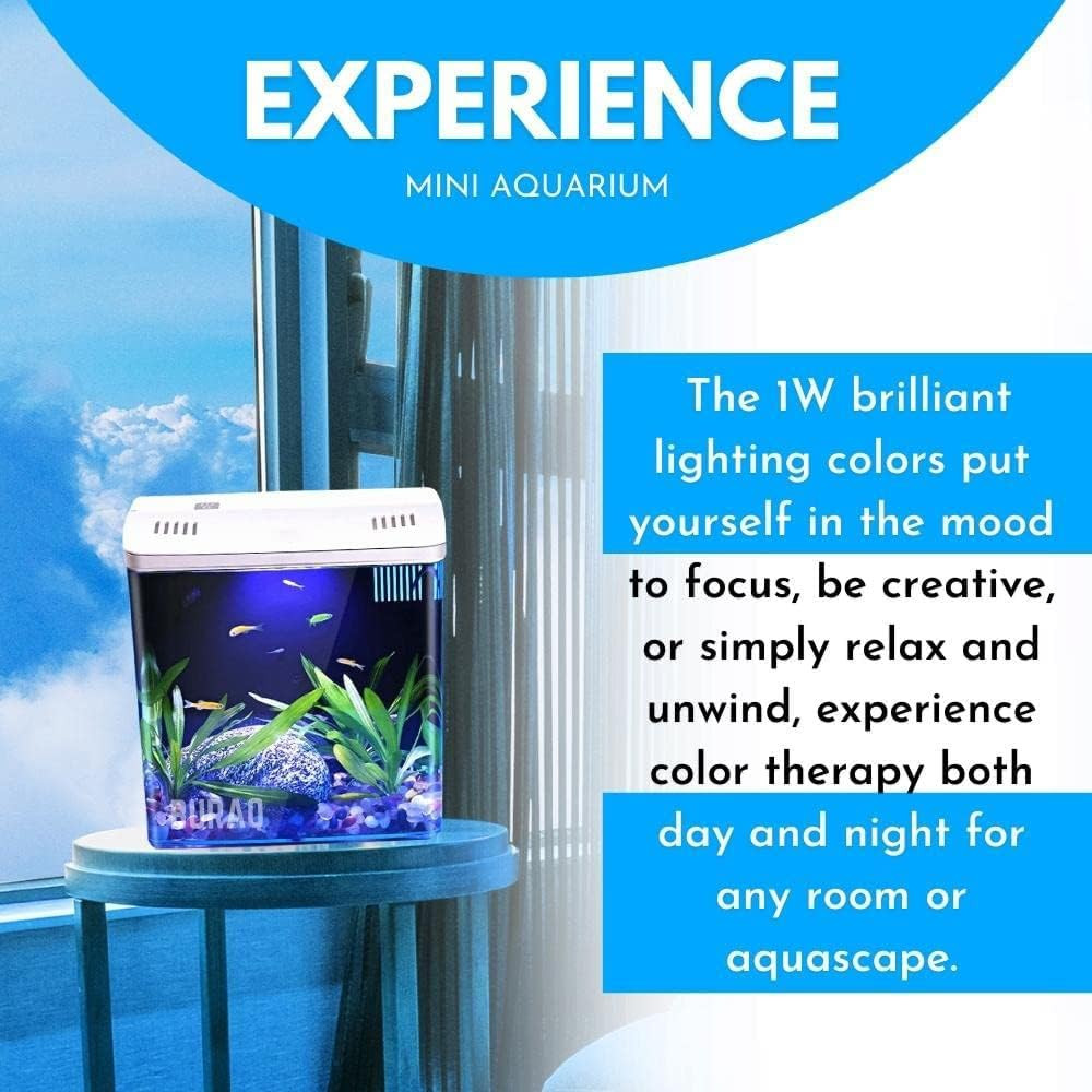 Buraq Pets Aquarium Mini Fish Tank Curve Moulded Equipped with Back Filter, USB Connector, Multicolor Led Light, Ultra Quiet Pump, Aquarium for Fishes (BL-04, White)