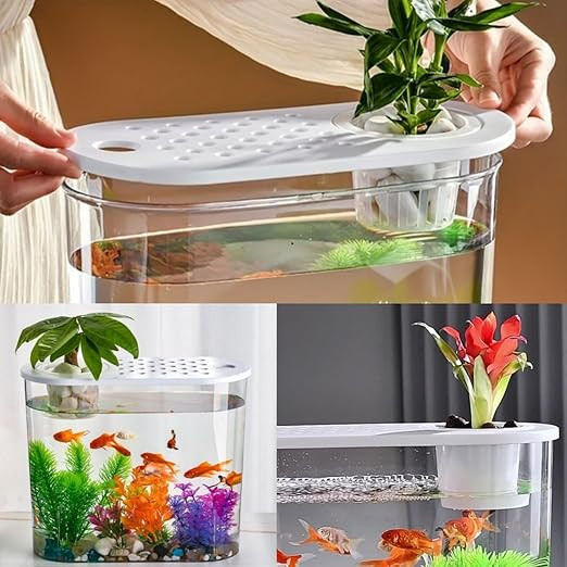 rizopets Hydroponic Fashion Aquarium Mini Fish Tank