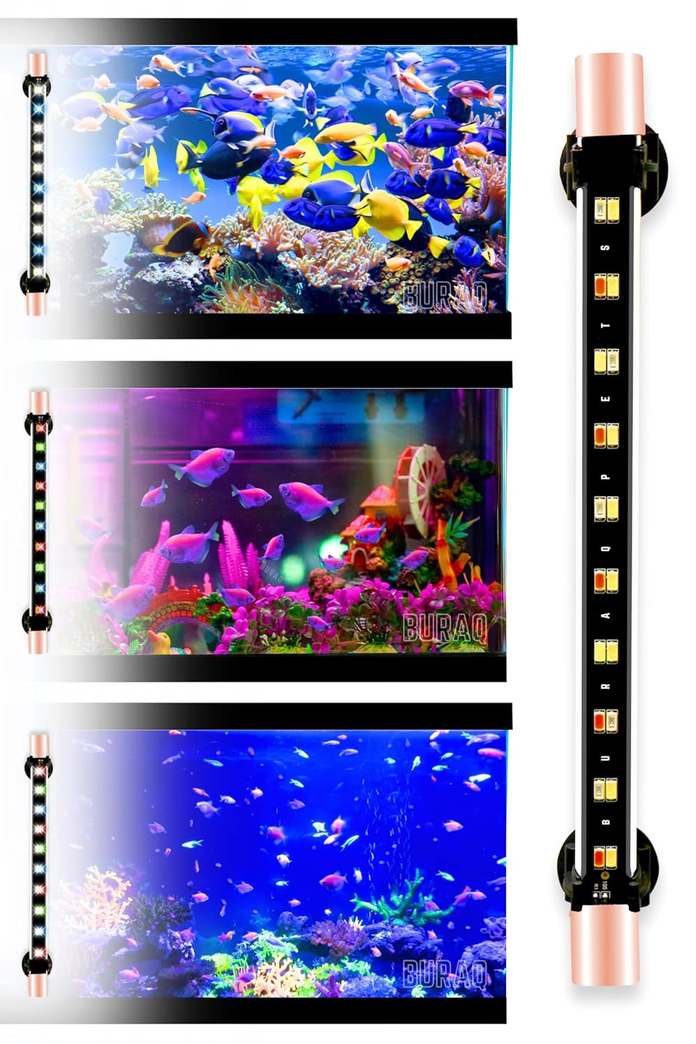 Buraq Multi-Color LED Aquarium Light, Waterproof, Energy-Efficient, WRGB Multi-Color Modes, Submersible Aquarium Lights for Fish Tanks (Upto 2.5 Ft Tank), Glass