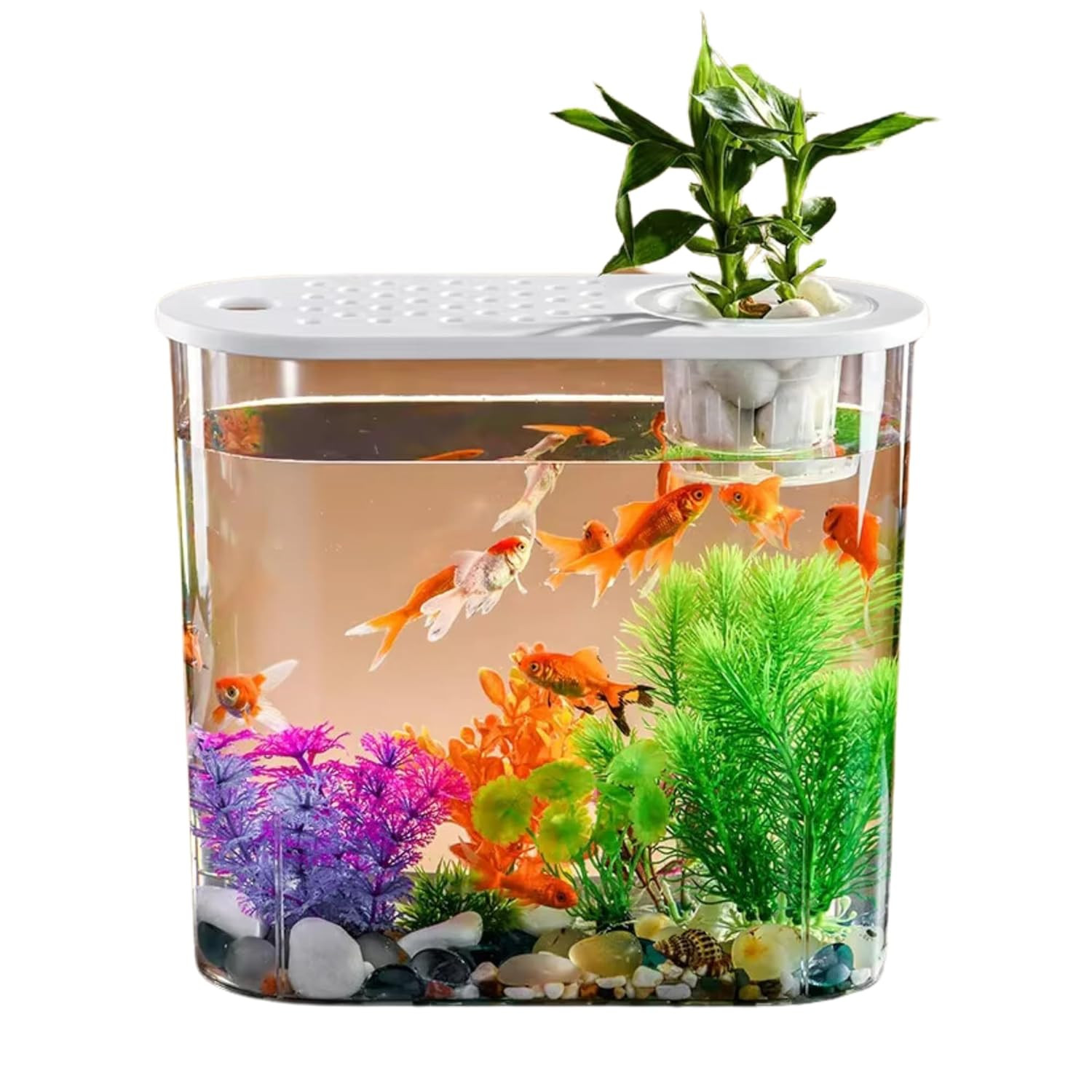 Buraq Hydroponic Fashion Aquarium Mini Fish Tank with Planting Basket for Guppies, Shrimp, Polycarbonate Material, Suitable for Home, Living Room and Office