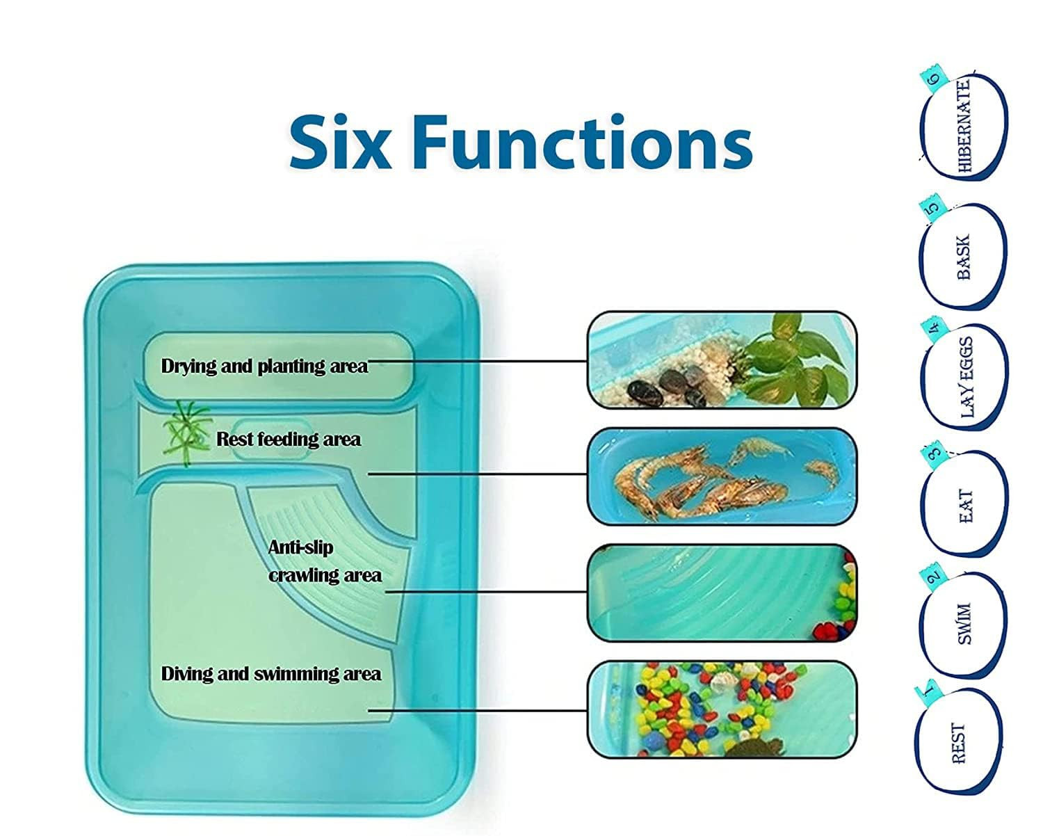 Rizopets Turtle Aquarium Tank with Lid, Multifunctional Reptile Breeding Box with Terrapin Lake, Hibernation, Swimming, Basking, Feeding, Platform for Tortoise, Crayfish & Crab (Large)