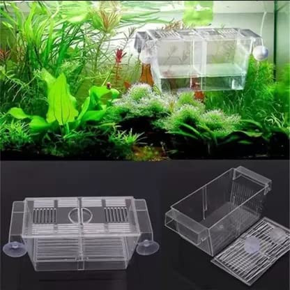 Animaux Chicos Aquarium Guppy/Betta Breeding Acrylic Transparent Isolation Box (1 L) Rectangle Aquarium Tank (1 L)